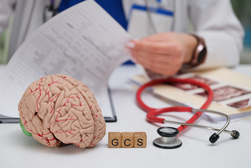 A doctor diligently reviewing patient files while utilizing a brain model and GCS cubes for comprehensive assessment