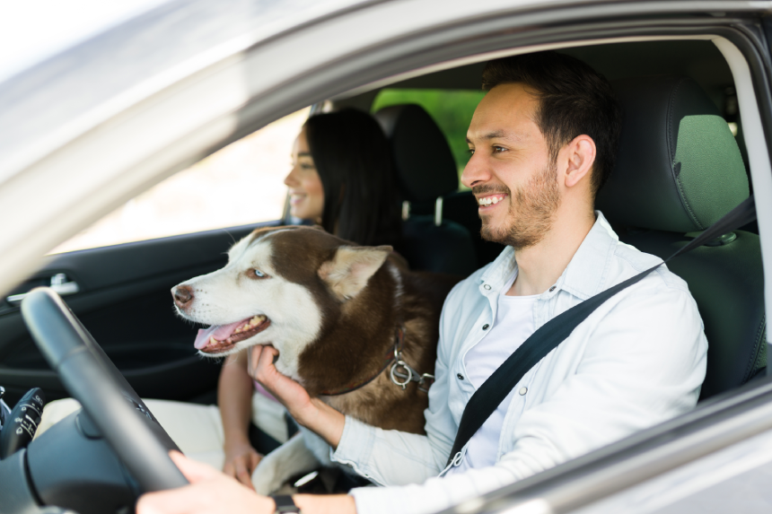 Attractive happy man driving and going on a holiday trip with his partner and his husky dog